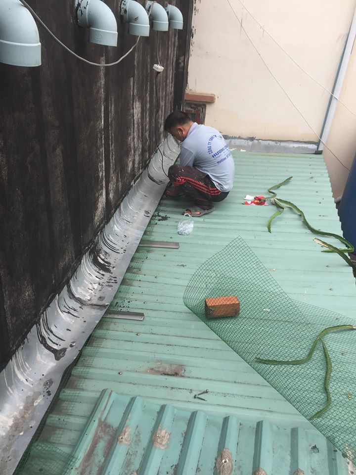 Báo Giá Sửa Mái Tôn Tại Bình Tân