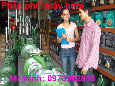 Sửa máy bơm tại Tân Phú | hotline 0973*982*818