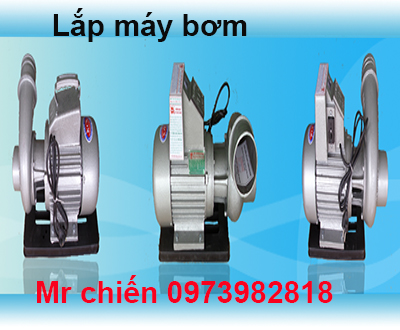 Chống dột mái tôn tại quận 9