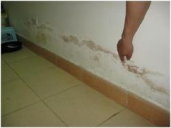 Công Ty Chống Thấm Uy Tín Tại TPHCM: Giải Pháp Chống Dột Và Rò Rỉ Nhanh Cho Chủ Công Trình