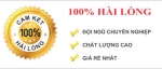 Thi công - sửa chữa thạch cao giá rẻ tại quận Bình Thạnh. 0973982818