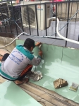 Sửa nhà ở Gò vấp